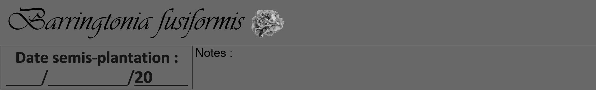 Étiquette de : Barringtonia fusiformis - format a - style noire6viv avec comestibilité simplifiée