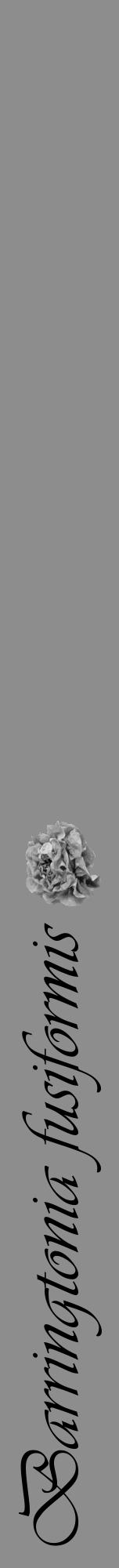 Étiquette de : Barringtonia fusiformis - format a - style noire2viv avec comestibilité simplifiée - position verticale