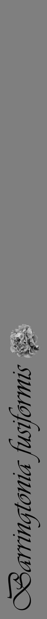 Étiquette de : Barringtonia fusiformis - format a - style noire31viv avec comestibilité simplifiée - position verticale