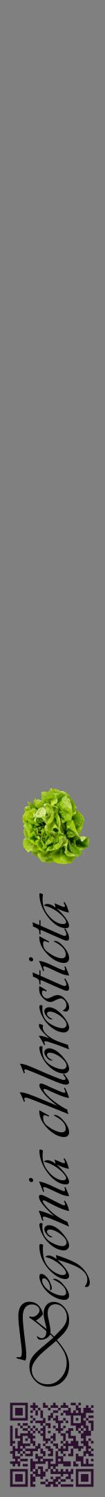 Étiquette de : Begonia chlorosticta - format a - style noire57viv avec qrcode et comestibilité simplifiée