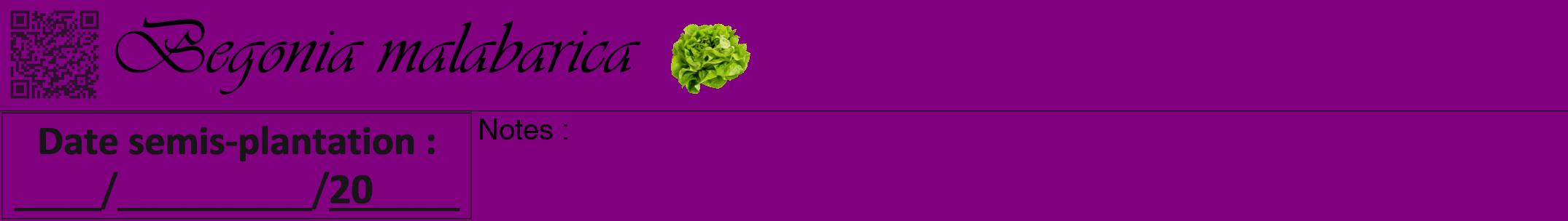 Étiquette de : Begonia malabarica - format a - style noire46viv avec qrcode et comestibilité simplifiée