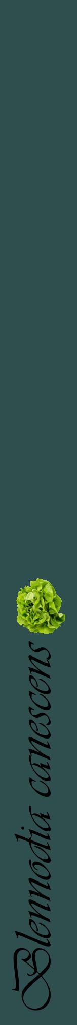 Étiquette de : Blennodia canescens - format a - style noire58viv avec comestibilité simplifiée