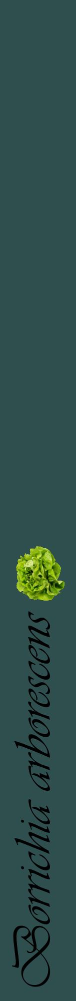 Étiquette de : Borrichia arborescens - format a - style noire58viv avec comestibilité simplifiée