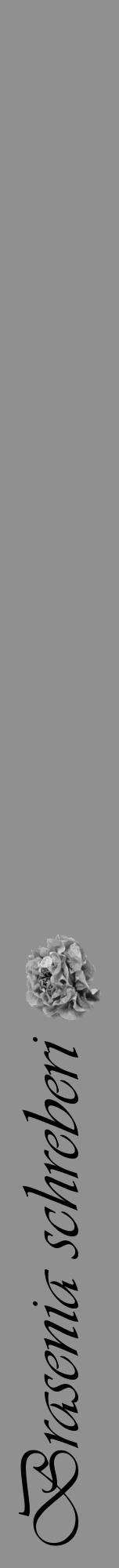 Étiquette de : Brasenia schreberi - format a - style noire4viv avec comestibilité simplifiée - position verticale