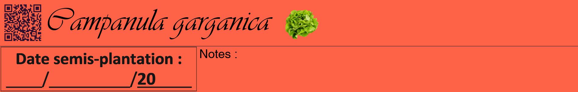 Étiquette de : Campanula garganica - format a - style noire25basiqueviv avec qrcode et comestibilité simplifiée