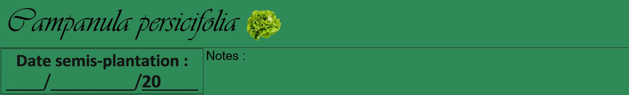 Étiquette de : Campanula persicifolia - format a - style noire11viv avec comestibilité simplifiée