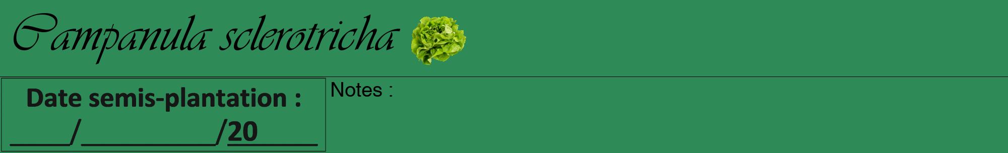 Étiquette de : Campanula sclerotricha - format a - style noire11viv avec comestibilité simplifiée