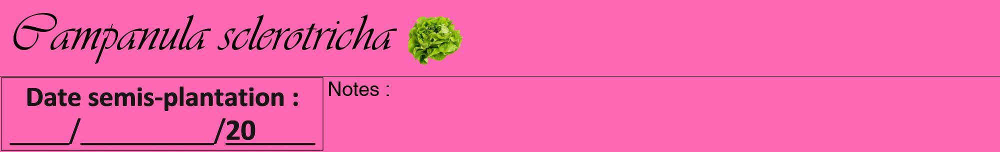 Étiquette de : Campanula sclerotricha - format a - style noire42viv avec comestibilité simplifiée
