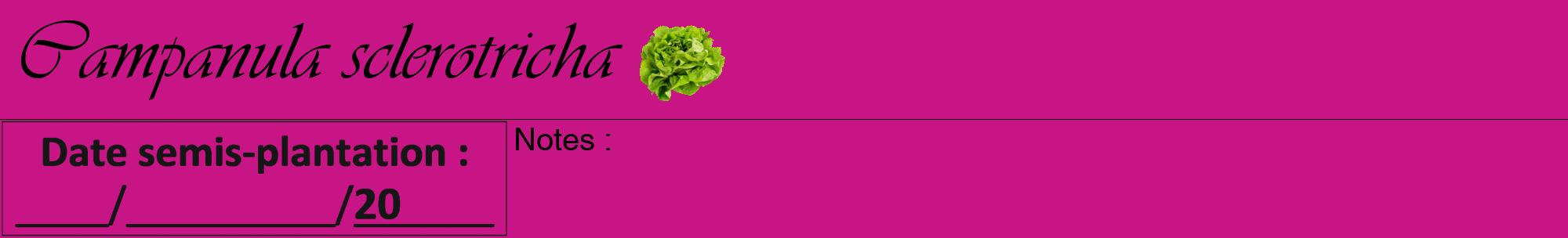 Étiquette de : Campanula sclerotricha - format a - style noire45viv avec comestibilité simplifiée