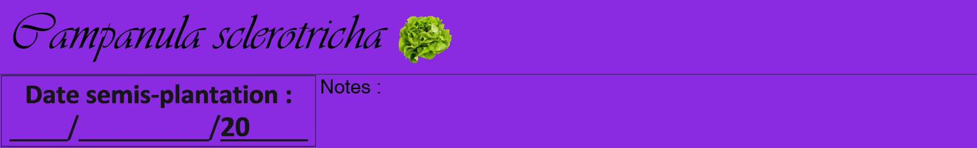Étiquette de : Campanula sclerotricha - format a - style noire49viv avec comestibilité simplifiée