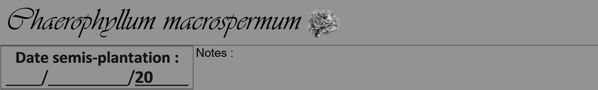 Étiquette de : Chaerophyllum macrospermum - format a - style noire44viv avec comestibilité simplifiée
