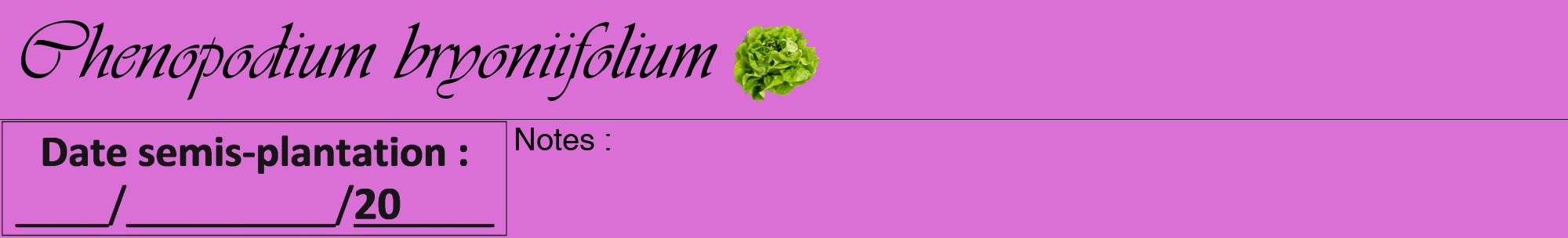 Étiquette de : Chenopodium bryoniifolium - format a - style noire52viv avec comestibilité simplifiée