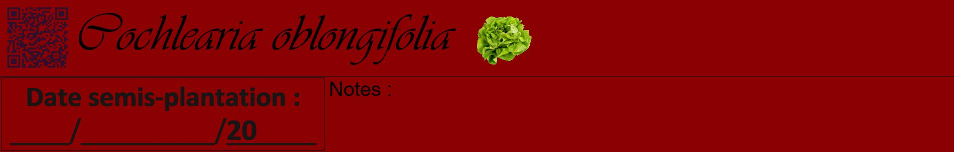 Étiquette de : Cochlearia oblongifolia - format a - style noire34basiqueviv avec qrcode et comestibilité simplifiée