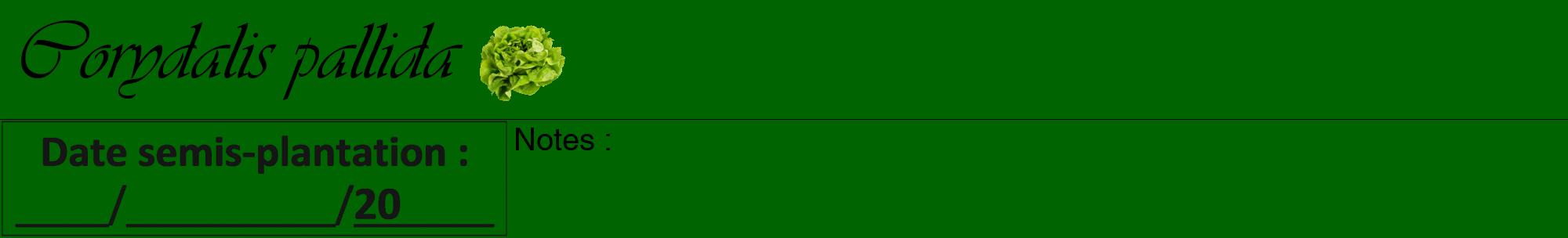 Étiquette de : Corydalis pallida - format a - style noire8viv avec comestibilité simplifiée