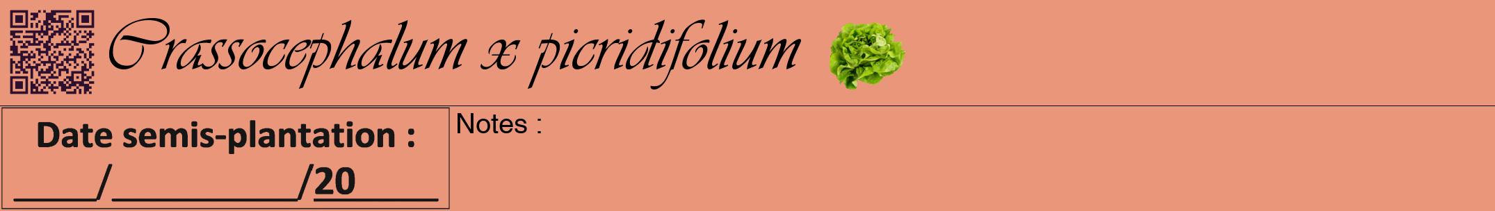 Étiquette de : Crassocephalum x picridifolium - format a - style noire37viv avec qrcode et comestibilité simplifiée