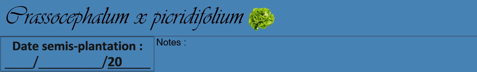 Étiquette de : Crassocephalum x picridifolium - format a - style noire5viv avec comestibilité simplifiée
