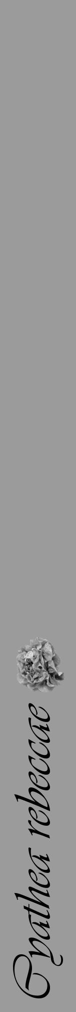 Étiquette de : Cyathea rebeccae - format a - style noire52viv avec comestibilité simplifiée - position verticale