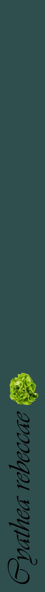 Étiquette de : Cyathea rebeccae - format a - style noire58viv avec comestibilité simplifiée