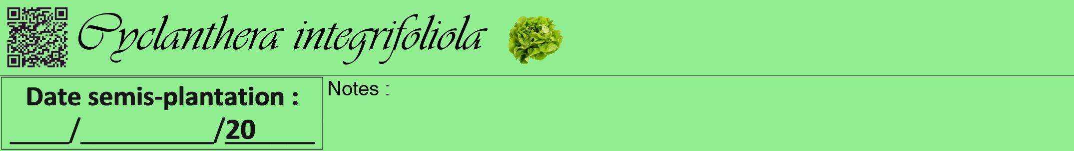 Étiquette de : Cyclanthera integrifoliola - format a - style noire15viv avec qrcode et comestibilité simplifiée