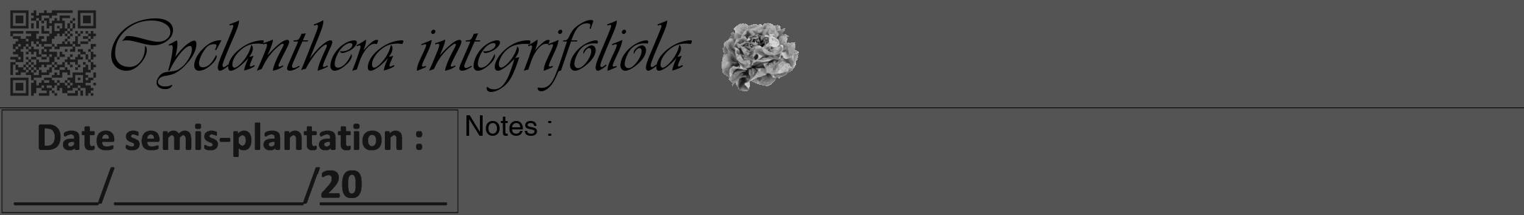 Étiquette de : Cyclanthera integrifoliola - format a - style noire30viv avec qrcode et comestibilité simplifiée