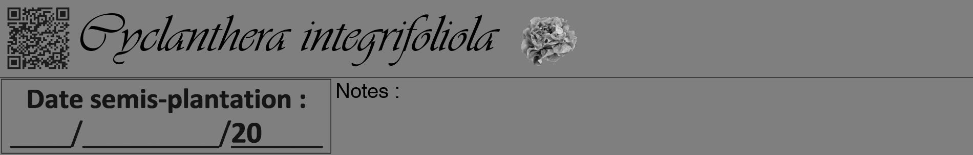 Étiquette de : Cyclanthera integrifoliola - format a - style noire57basiqueviv avec qrcode et comestibilité simplifiée