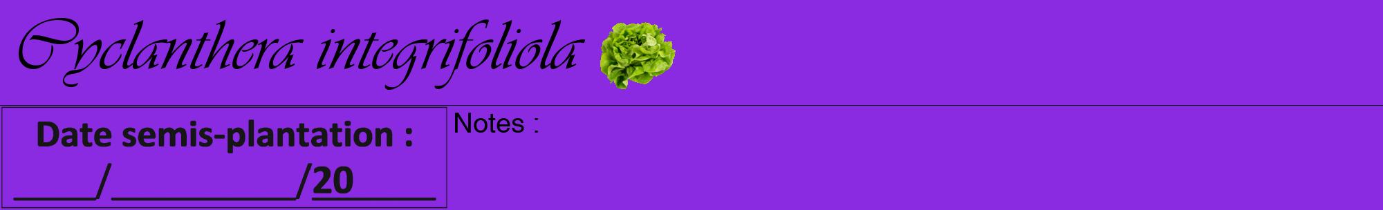 Étiquette de : Cyclanthera integrifoliola - format a - style noire49viv avec comestibilité simplifiée