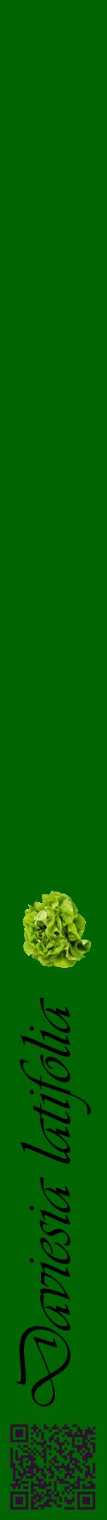 Étiquette de : Daviesia latifolia - format a - style noire8viv avec qrcode et comestibilité simplifiée