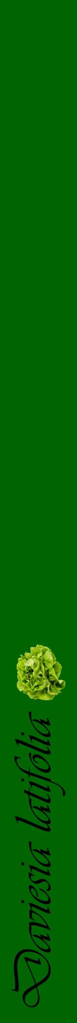 Étiquette de : Daviesia latifolia - format a - style noire8viv avec comestibilité simplifiée
