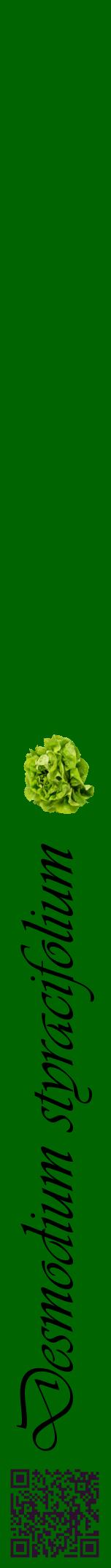 Étiquette de : Desmodium styracifolium - format a - style noire8viv avec qrcode et comestibilité simplifiée