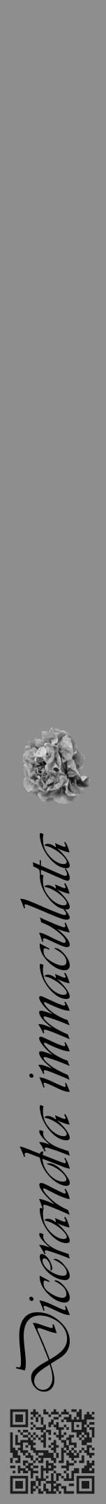 Étiquette de : Dicerandra immaculata - format a - style noire25simpleviv avec qrcode et comestibilité simplifiée - position verticale