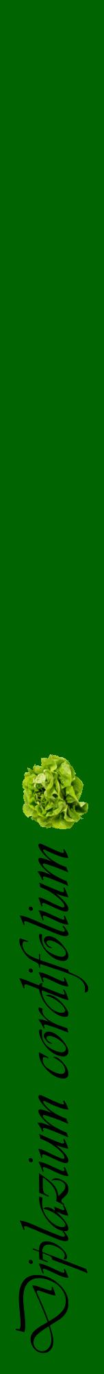 Étiquette de : Diplazium cordifolium - format a - style noire8viv avec comestibilité simplifiée