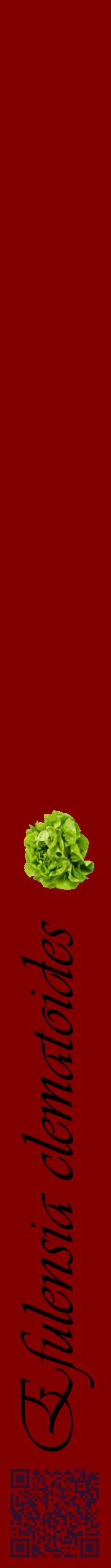 Étiquette de : Efulensia clematoides - format a - style noire29viv avec qrcode et comestibilité simplifiée