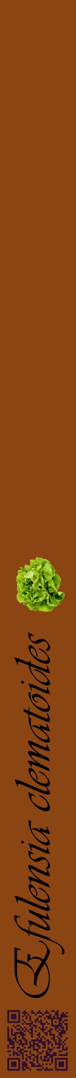 Étiquette de : Efulensia clematoides - format a - style noire30viv avec qrcode et comestibilité simplifiée