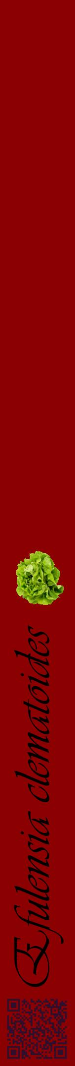 Étiquette de : Efulensia clematoides - format a - style noire34viv avec qrcode et comestibilité simplifiée