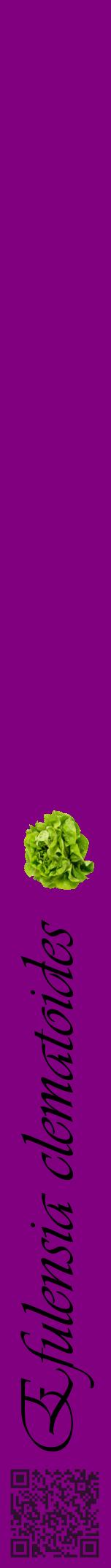 Étiquette de : Efulensia clematoides - format a - style noire46viv avec qrcode et comestibilité simplifiée