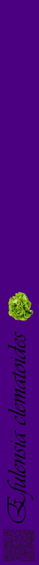 Étiquette de : Efulensia clematoides - format a - style noire47viv avec qrcode et comestibilité simplifiée