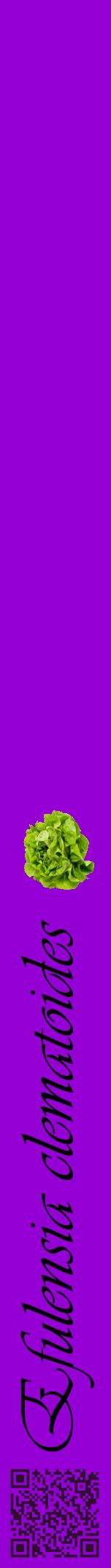 Étiquette de : Efulensia clematoides - format a - style noire48viv avec qrcode et comestibilité simplifiée