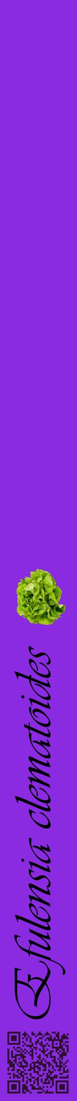 Étiquette de : Efulensia clematoides - format a - style noire49viv avec qrcode et comestibilité simplifiée