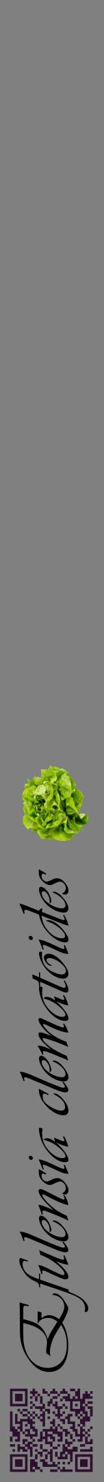 Étiquette de : Efulensia clematoides - format a - style noire57viv avec qrcode et comestibilité simplifiée