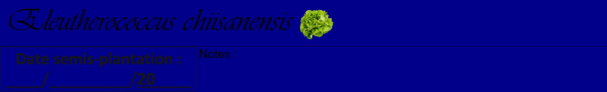 Étiquette de : Eleutherococcus chiisanensis - format a - style noire7viv avec comestibilité simplifiée