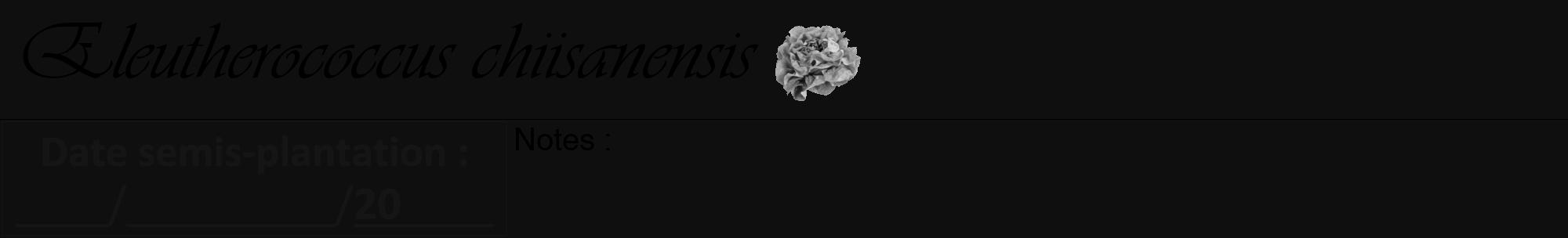 Étiquette de : Eleutherococcus chiisanensis - format a - style noire7viv avec comestibilité simplifiée
