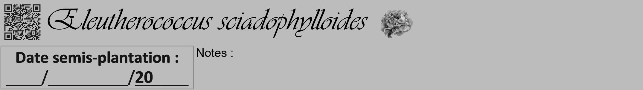 Étiquette de : Eleutherococcus sciadophylloides - format a - style noire1viv avec qrcode et comestibilité simplifiée