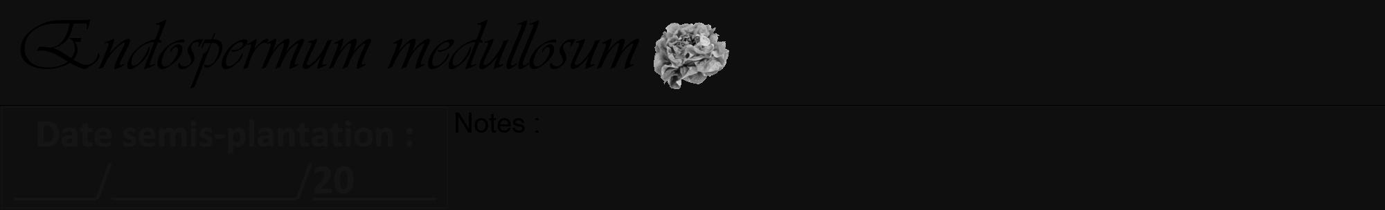 Étiquette de : Endospermum medullosum - format a - style noire7viv avec comestibilité simplifiée