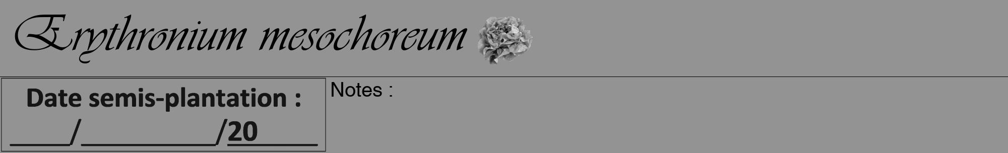 Étiquette de : Erythronium mesochoreum - format a - style noire44viv avec comestibilité simplifiée