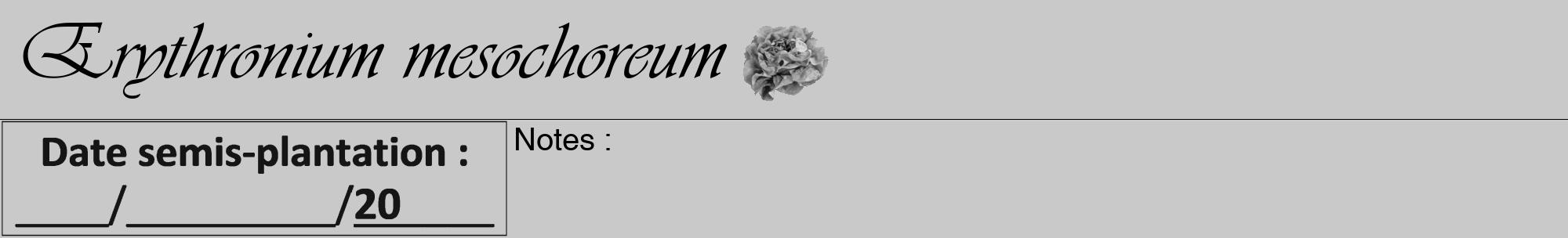 Étiquette de : Erythronium mesochoreum - format a - style noire54viv avec comestibilité simplifiée