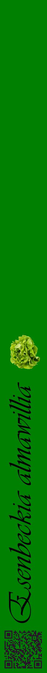 Étiquette de : Esenbeckia almawillia - format a - style noire9viv avec qrcode et comestibilité simplifiée