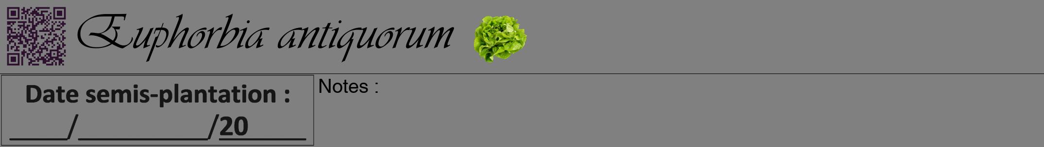 Étiquette de : Euphorbia antiquorum - format a - style noire57viv avec qrcode et comestibilité simplifiée