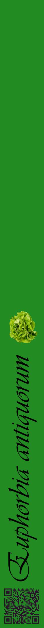 Étiquette de : Euphorbia antiquorum - format a - style noire10viv avec qrcode et comestibilité simplifiée
