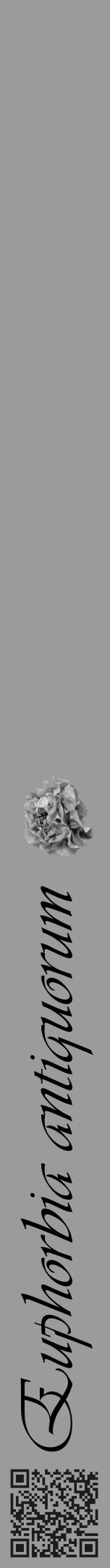 Étiquette de : Euphorbia antiquorum - format a - style noire52viv avec qrcode et comestibilité simplifiée - position verticale