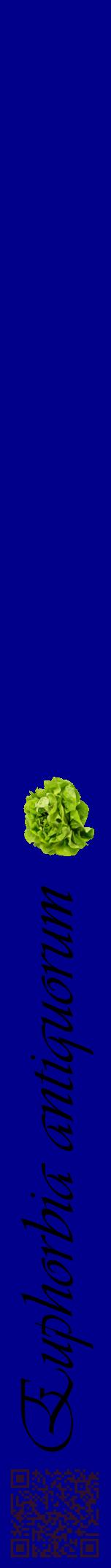 Étiquette de : Euphorbia antiquorum - format a - style noire7viv avec qrcode et comestibilité simplifiée